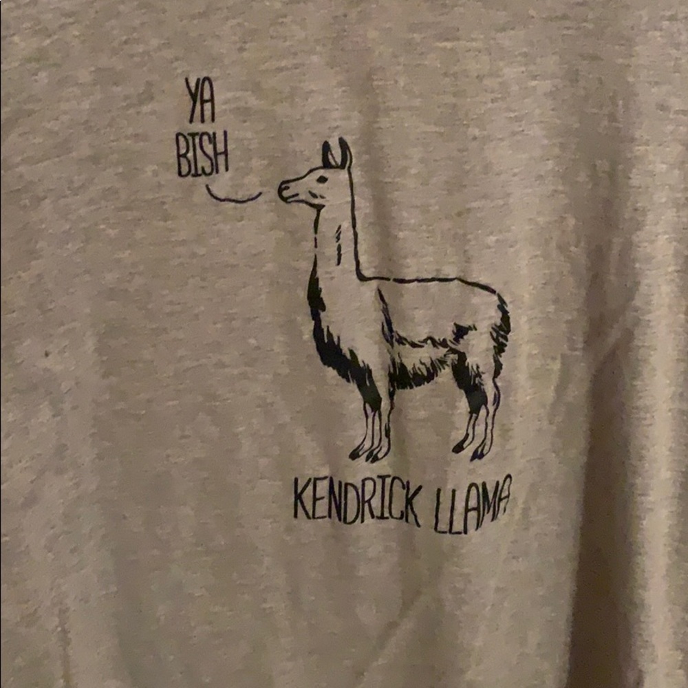 Kendrick Llama Grey T-shirt